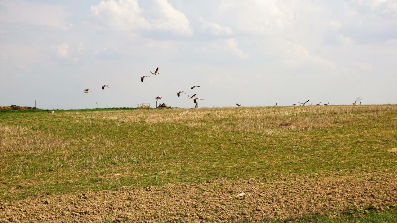 Willa Na Klifie Rewal Bagian luar foto